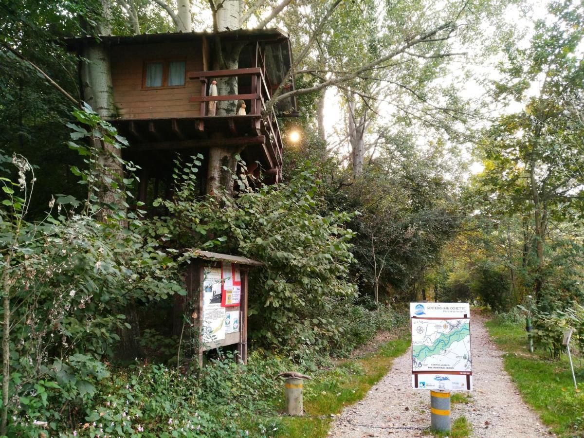 Binario 9 3/4 Bed & Breakfast Villafranca Piemonte Dış mekan fotoğraf